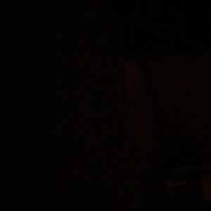 Meet your Posher, Ashlyn